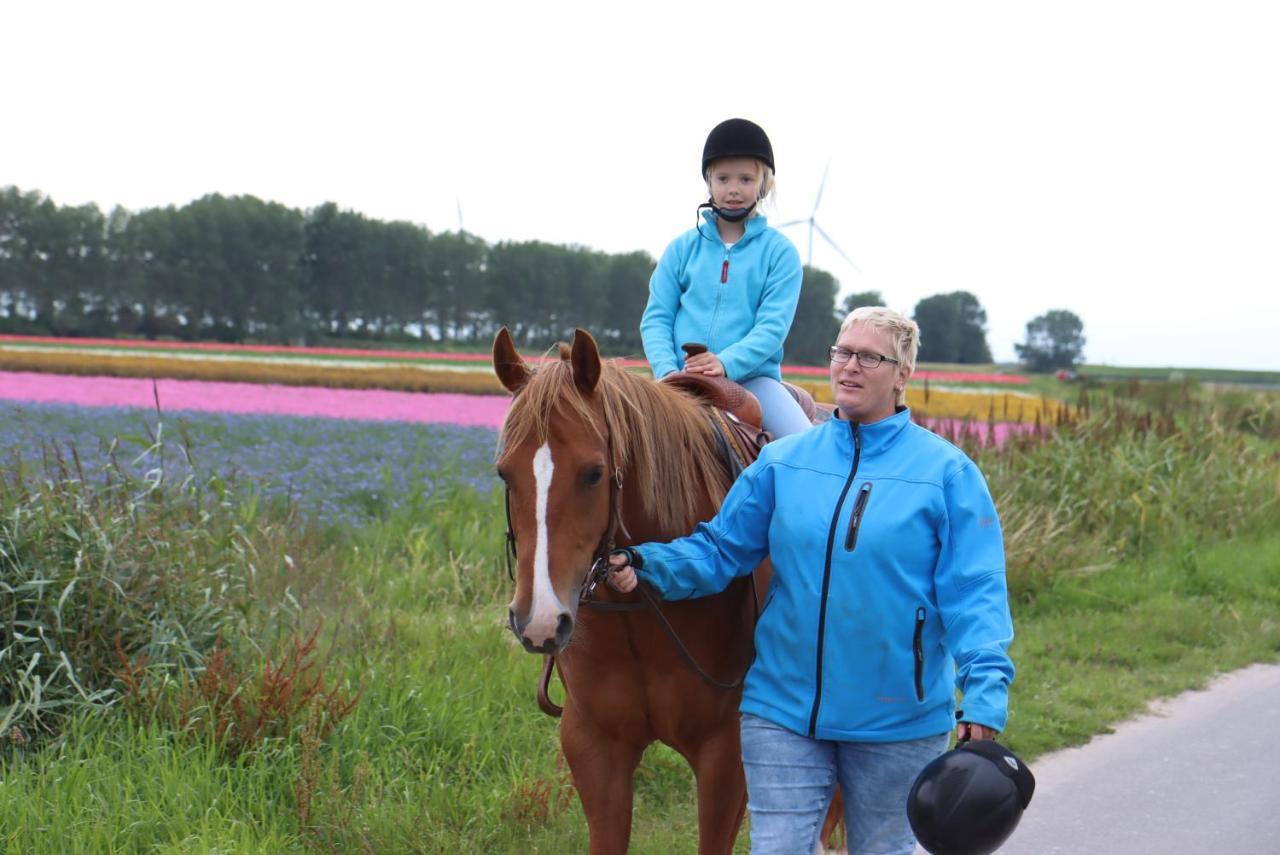 Strandhut 64 Sint Annaland Kültér fotó