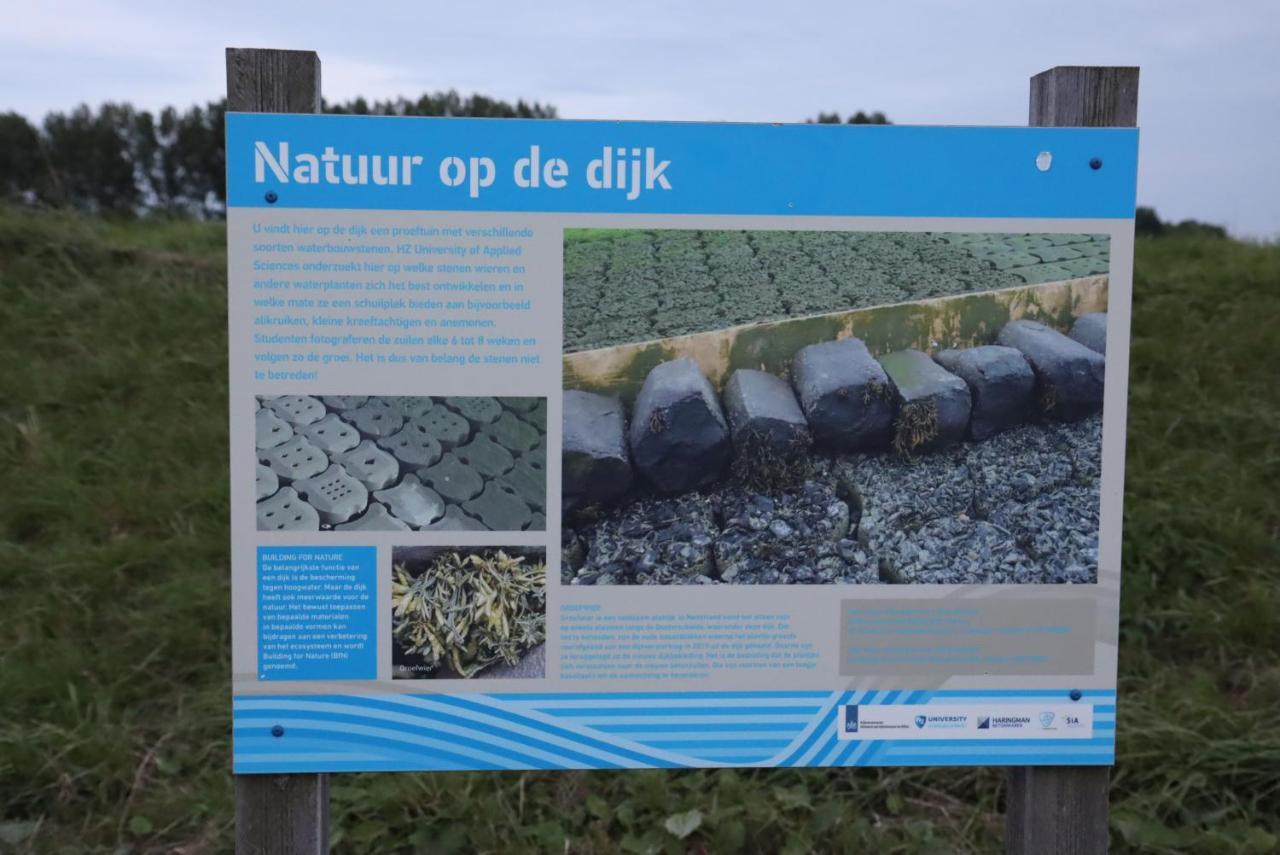Strandhut 64 Sint Annaland Kültér fotó