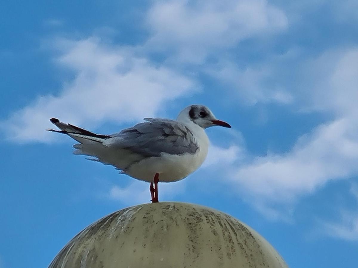 Strandhut 64 Sint Annaland Kültér fotó